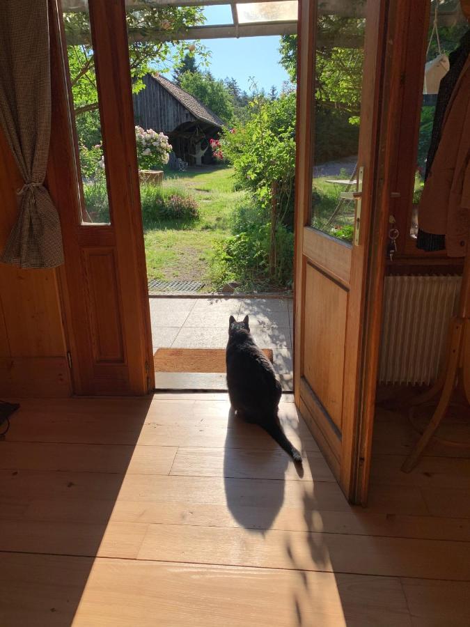 Le Manoir Des Sens - Foret De Bergheim Eksteriør bilde